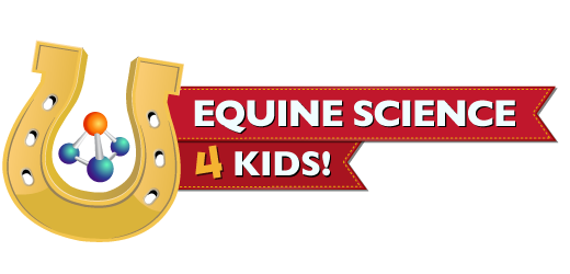 Equine Science 4 Kids.
