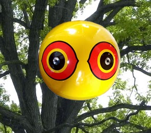 Scare-Eye_tree-app_full