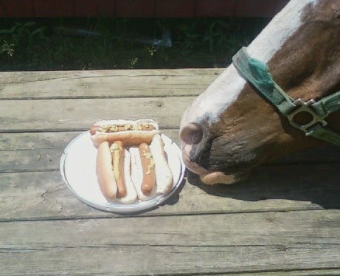 Nelson-Hot-Dog