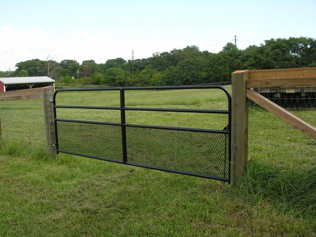 Pasture Management | Equine Science Center