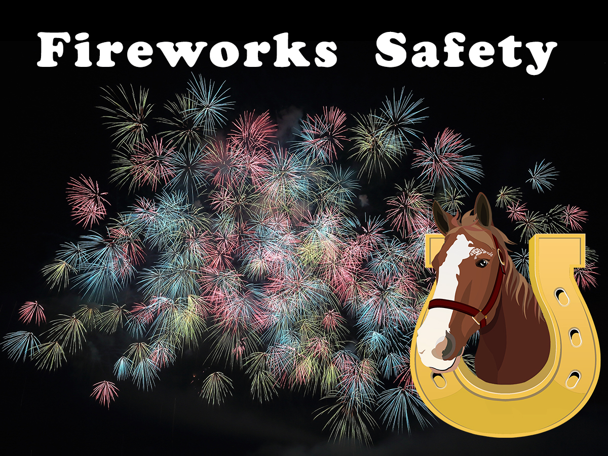 Are You And Your Horse Ready For The 4th of July?