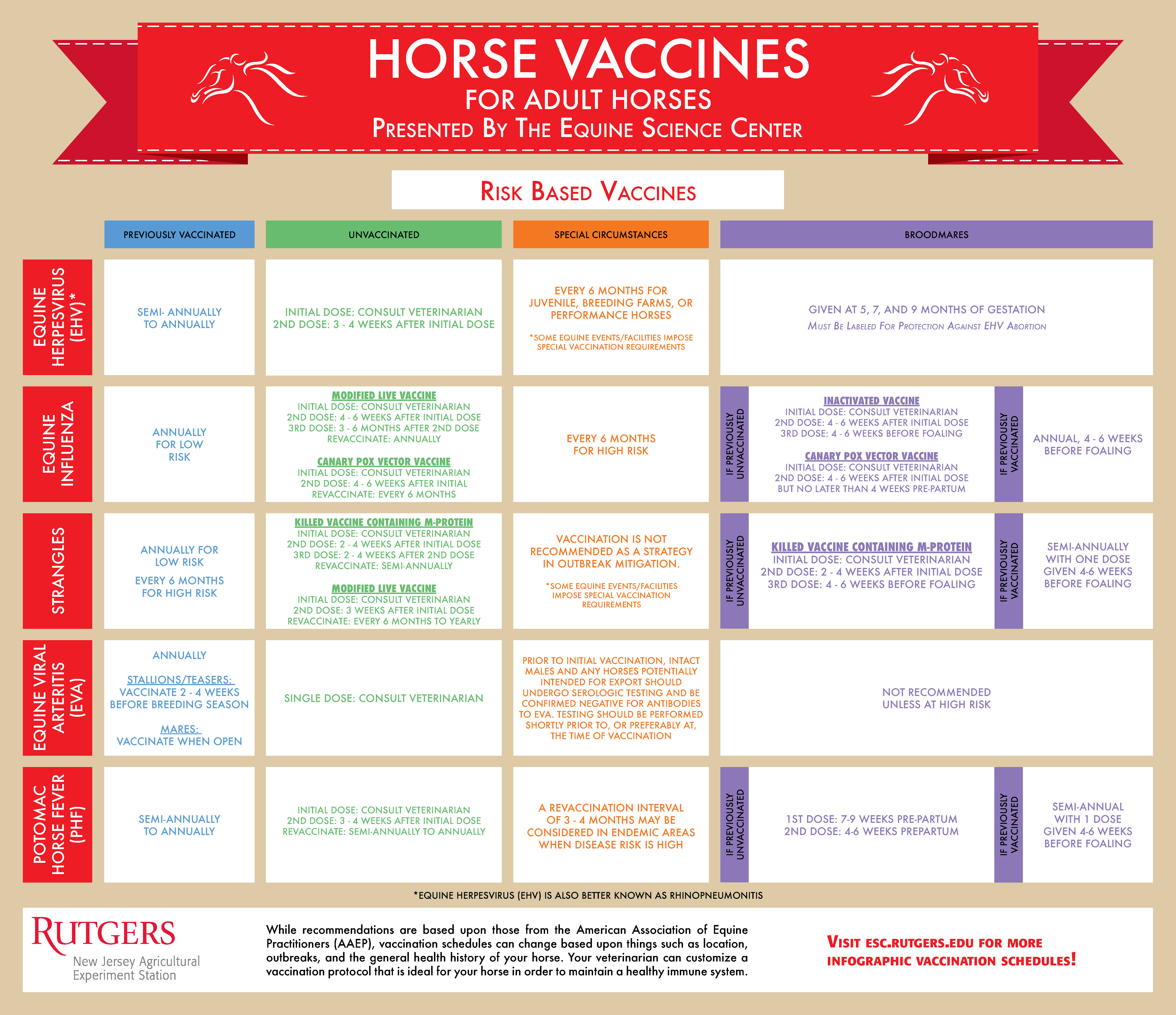 Does Your Horse Have A Fever? Equine Science Center