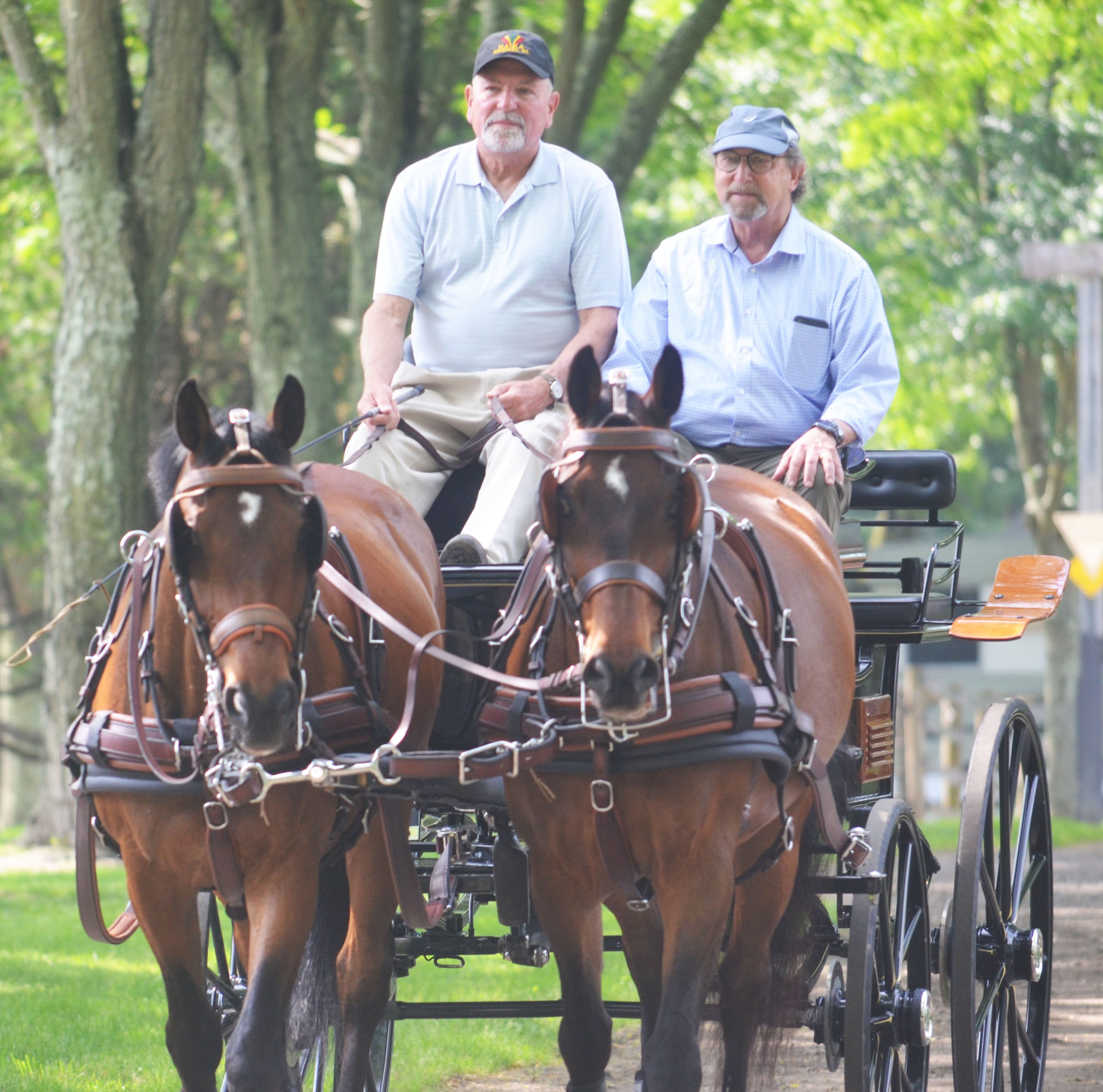 Chet Halka, pictured left, driving Secretary Fisher in one of the carriages Chet uses in the Combined Driving Competitions.